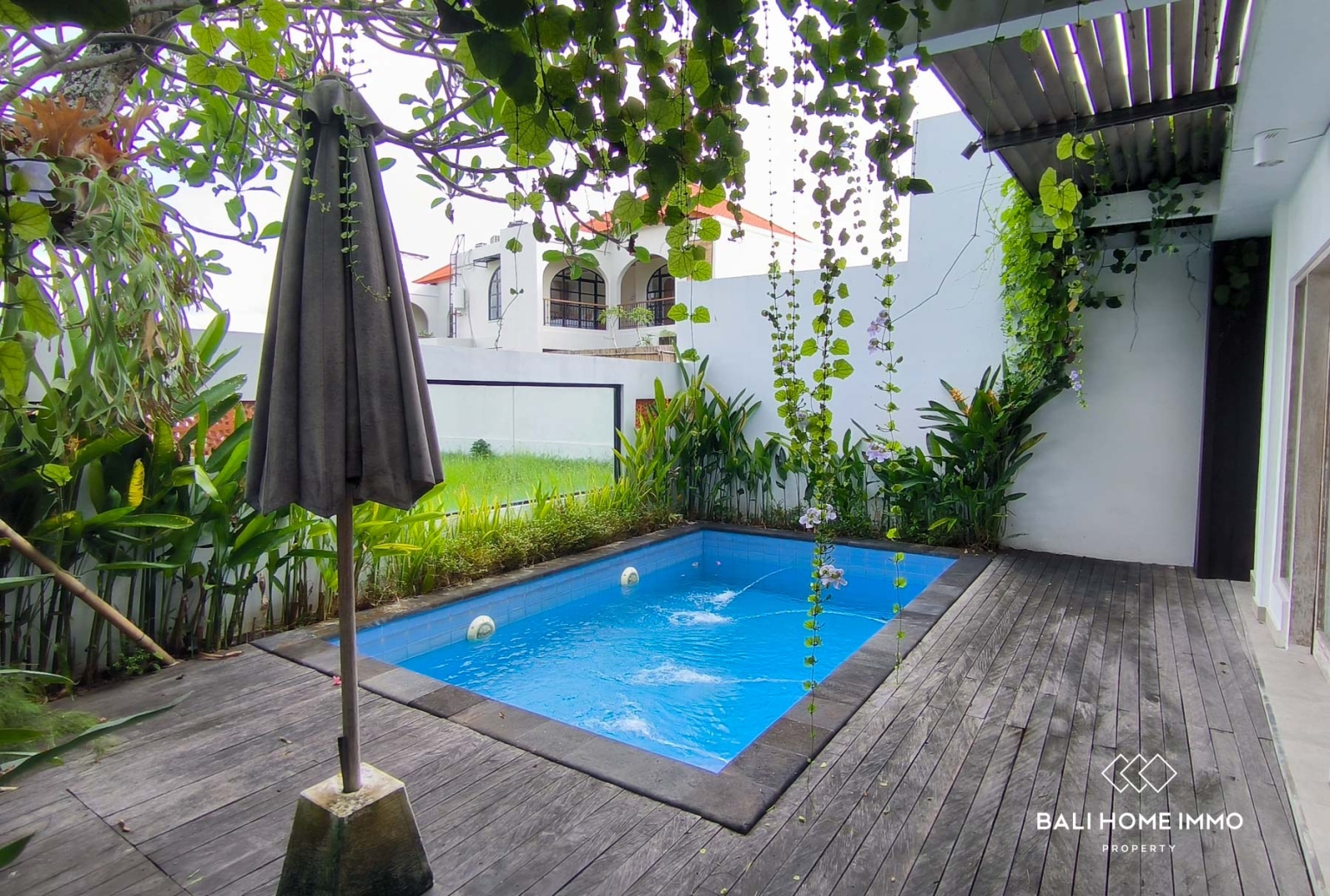 Ricefield view 2 Bedroom Villa for Rent in Canggu Bali