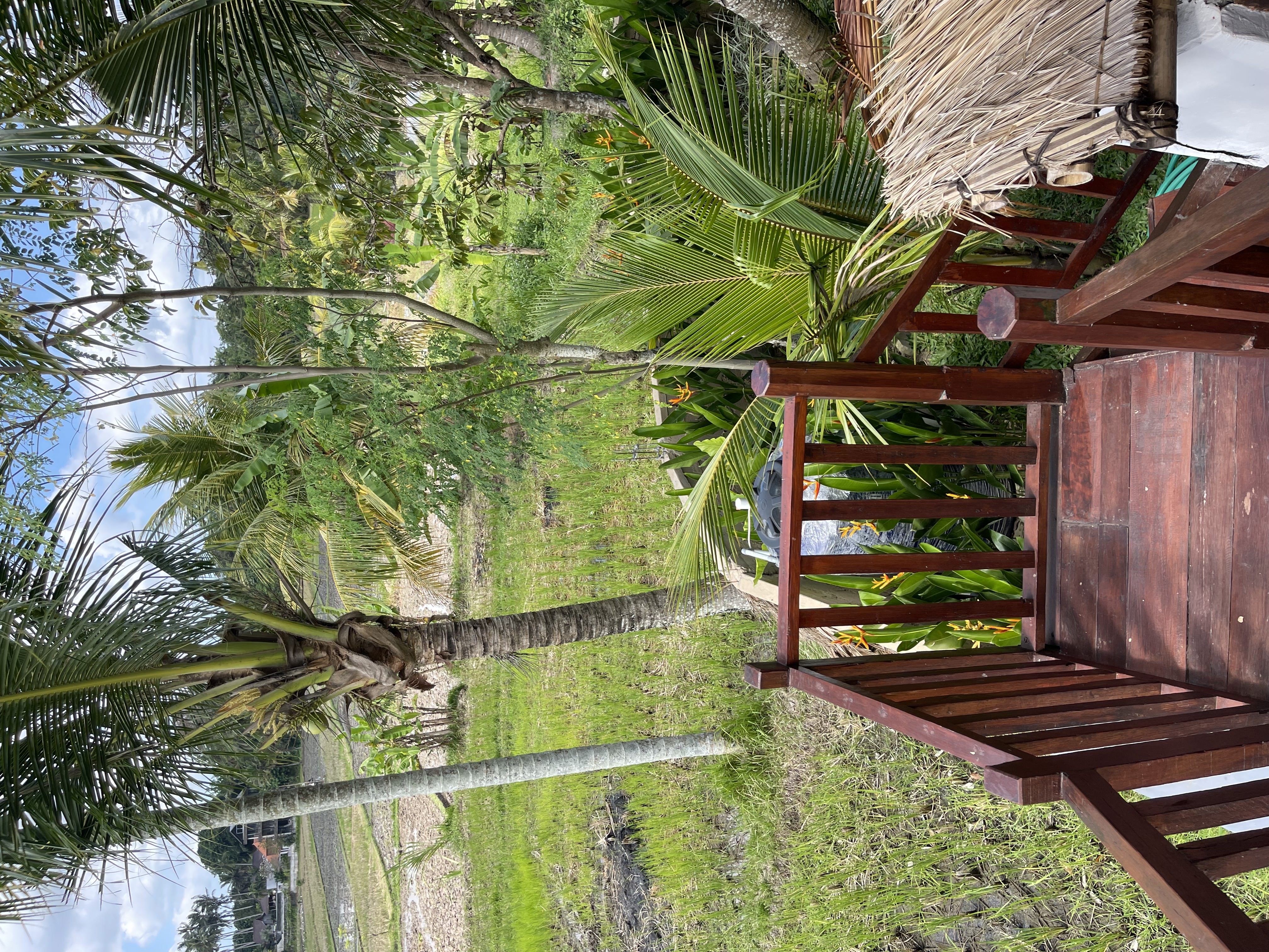 Villa #1 · 1 bed · Mas in Ubud — image 16