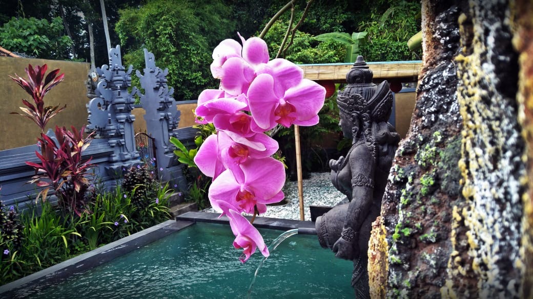 Villa #67 · 3 bed · Lodtunduh in Ubud — image 6