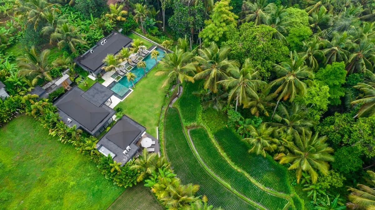 4 BR Rice-Field Tropical-Modern Villa Ubud — 4BR Villa Rental in Ubud