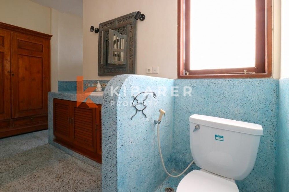 Large 3 bedrooms villa in Batu Belig — image 12