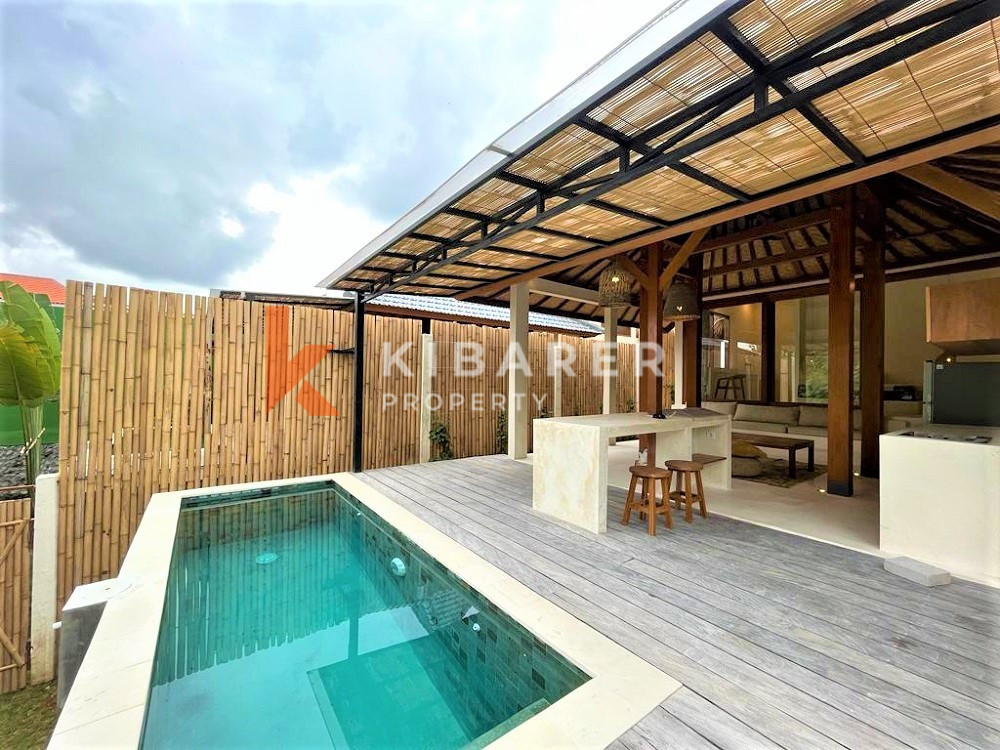 Brand New One Bedrooms Open Living Studio In Pererenan