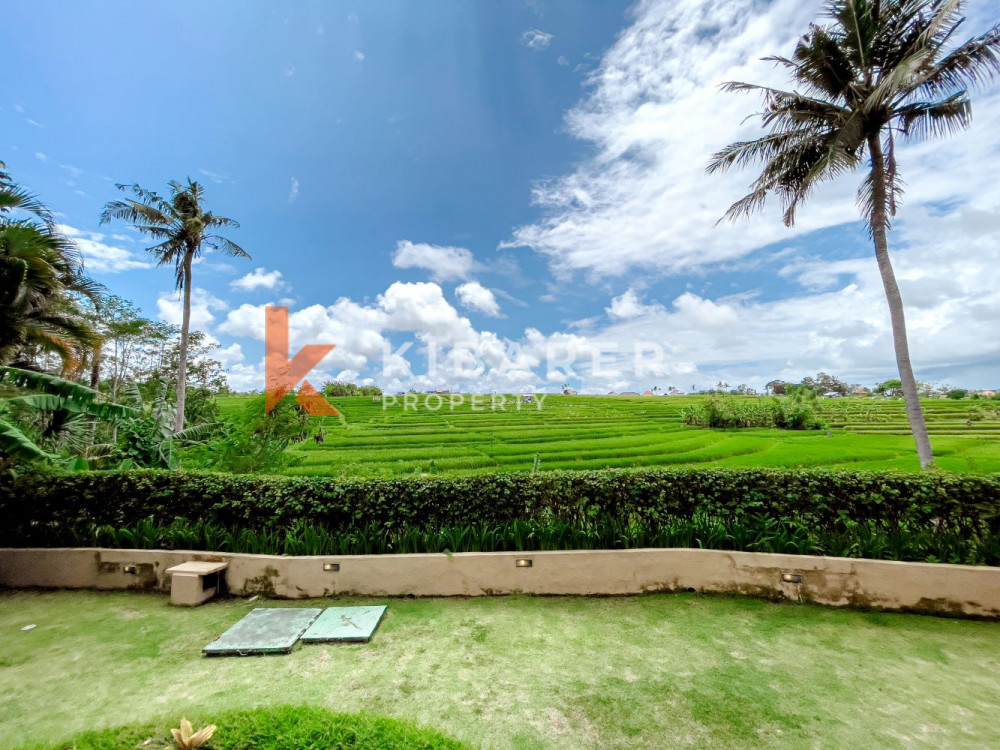 Spacious Three-Bedroom Private Guest Villa with Rice Field Views in Canggu — image 17