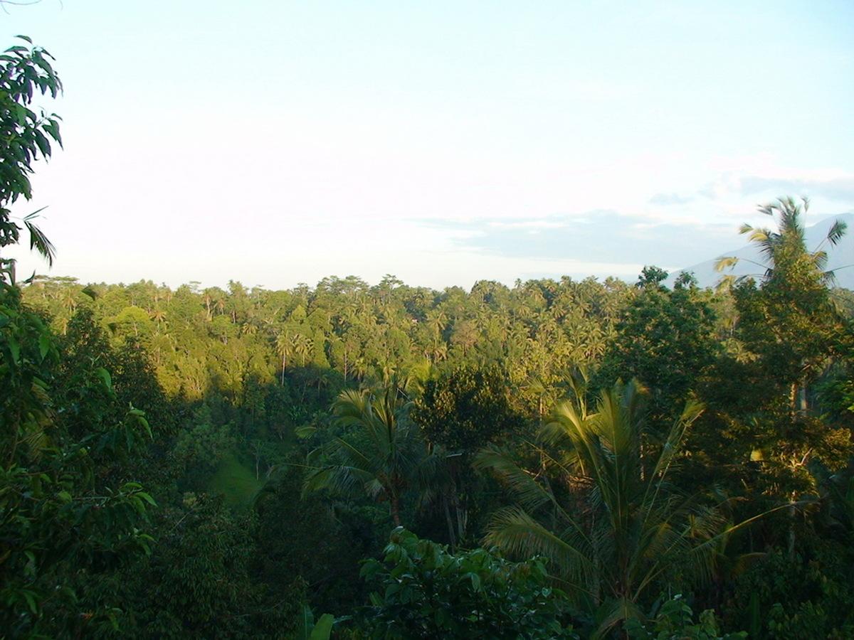 Ubud Villa 3516