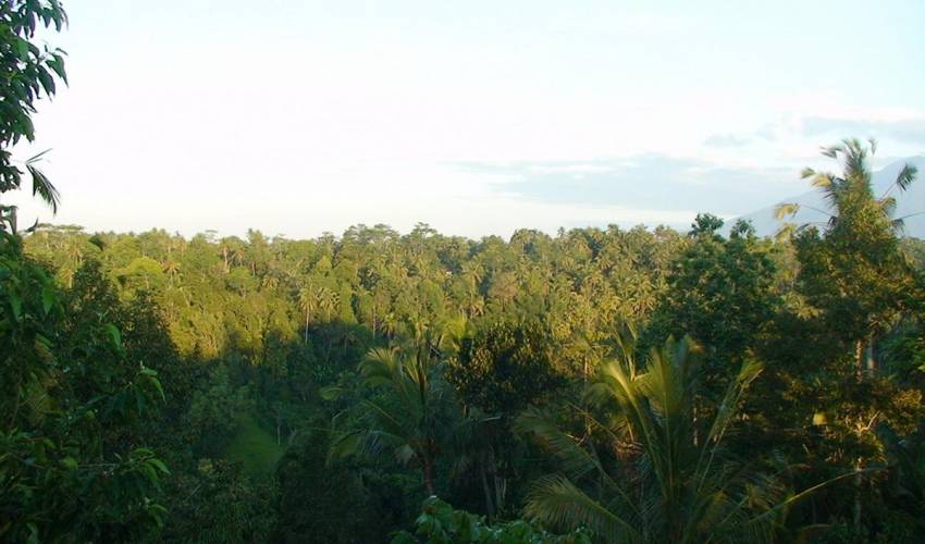 Ubud Villa 3516 — image 2