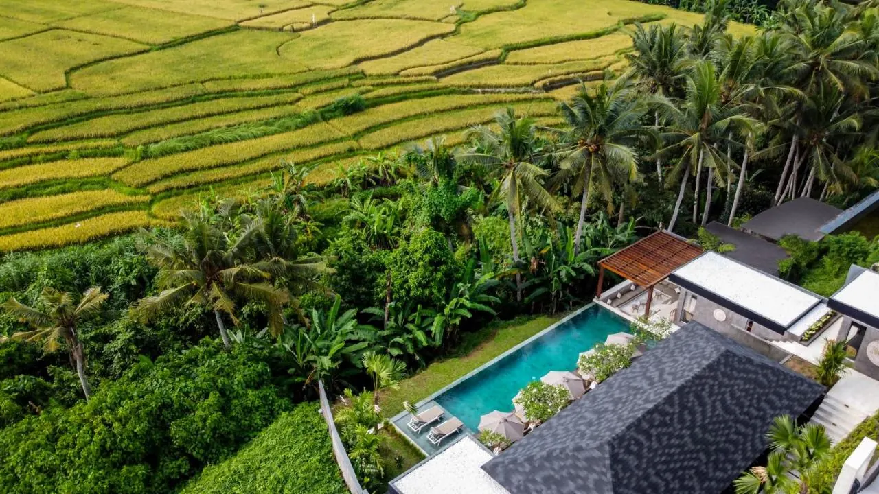 6 BR Rice-Field Wellness Retreat Ubud — 6BR Villa Rental in Ubud — image 4