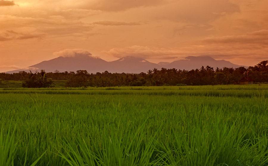 Ubud Villa 3283