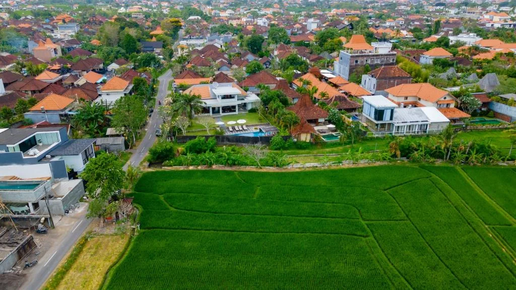 3-Bedroom Private Villa in Canggu – Peaceful Rice Field Views & Spacious Garden — image 7