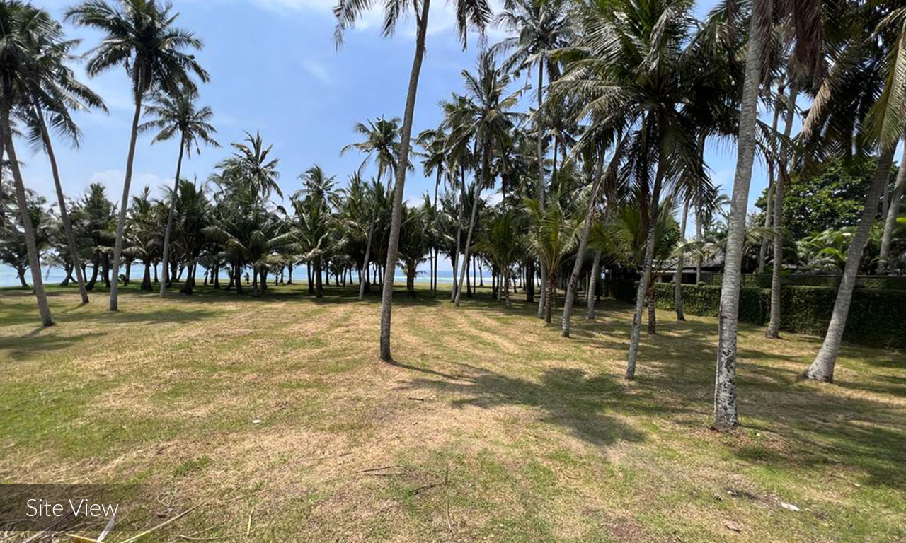 Outstanding Freehold Land within Walking Distance to Beach – Cemagi — image 5