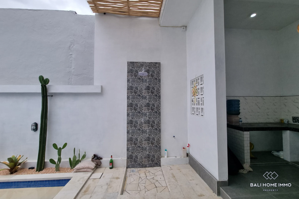 Brand New 2 Bedroom Villa for Yearly Rental in Bali Canggu Residential Side — image 3