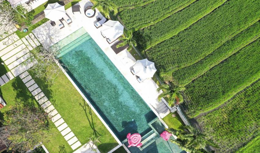 Pererenan Villa 3606 in canggu — image 2