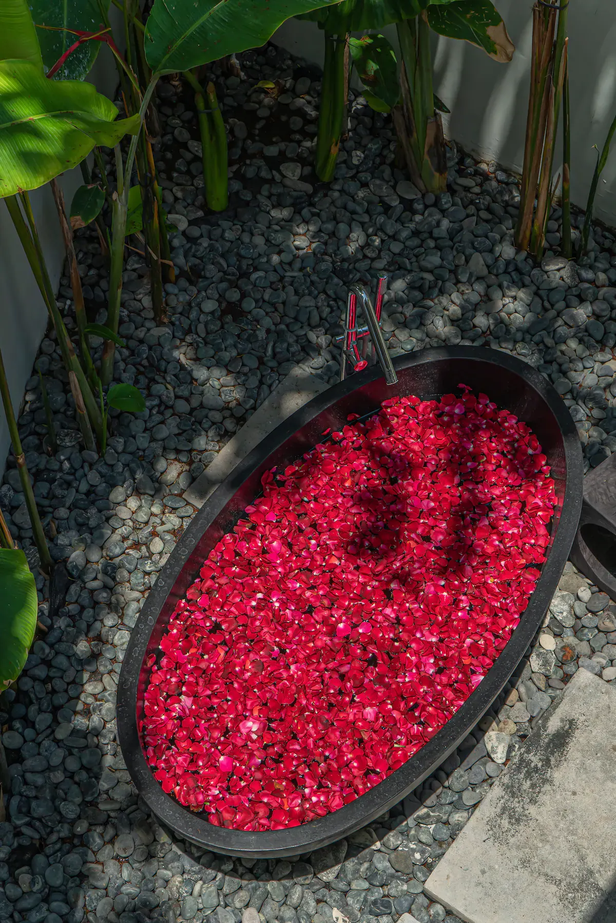 5 BR Rice-Field Pool Villa Canggu — 5BR Villa Rental in Canggu — image 6