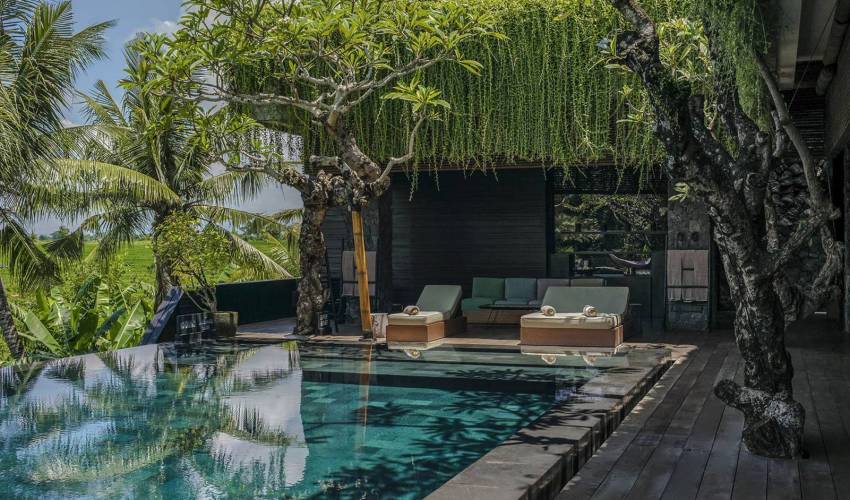 Villa 397 in canggu — image 5
