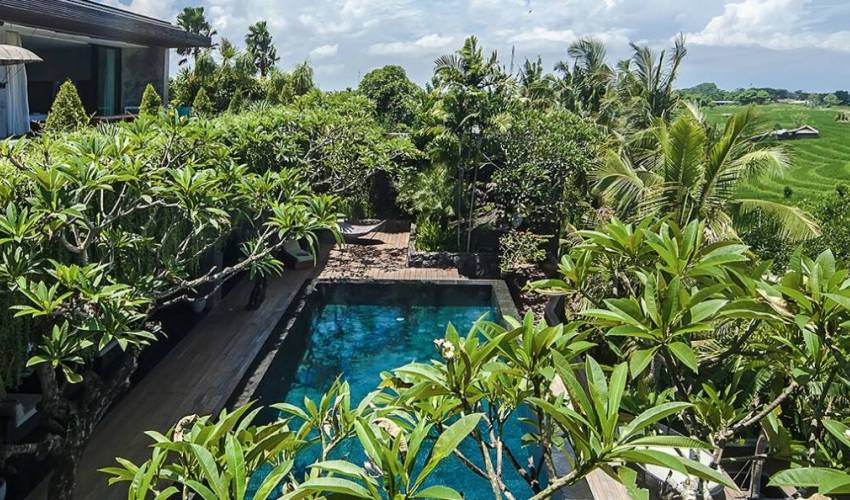 Villa 397 in canggu — image 2