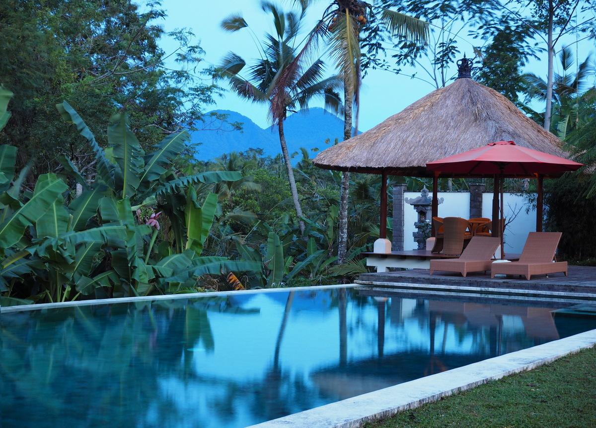 Ubud Villa 3516 — image 8