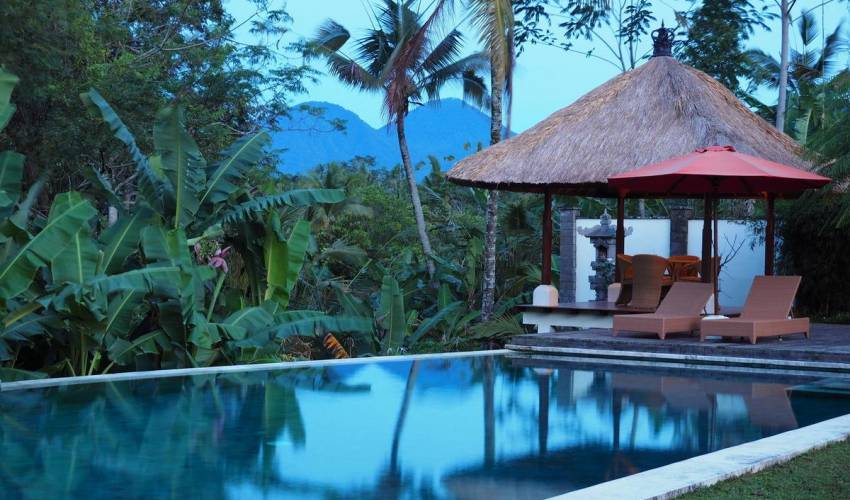 Ubud Villa 3516 — image 9