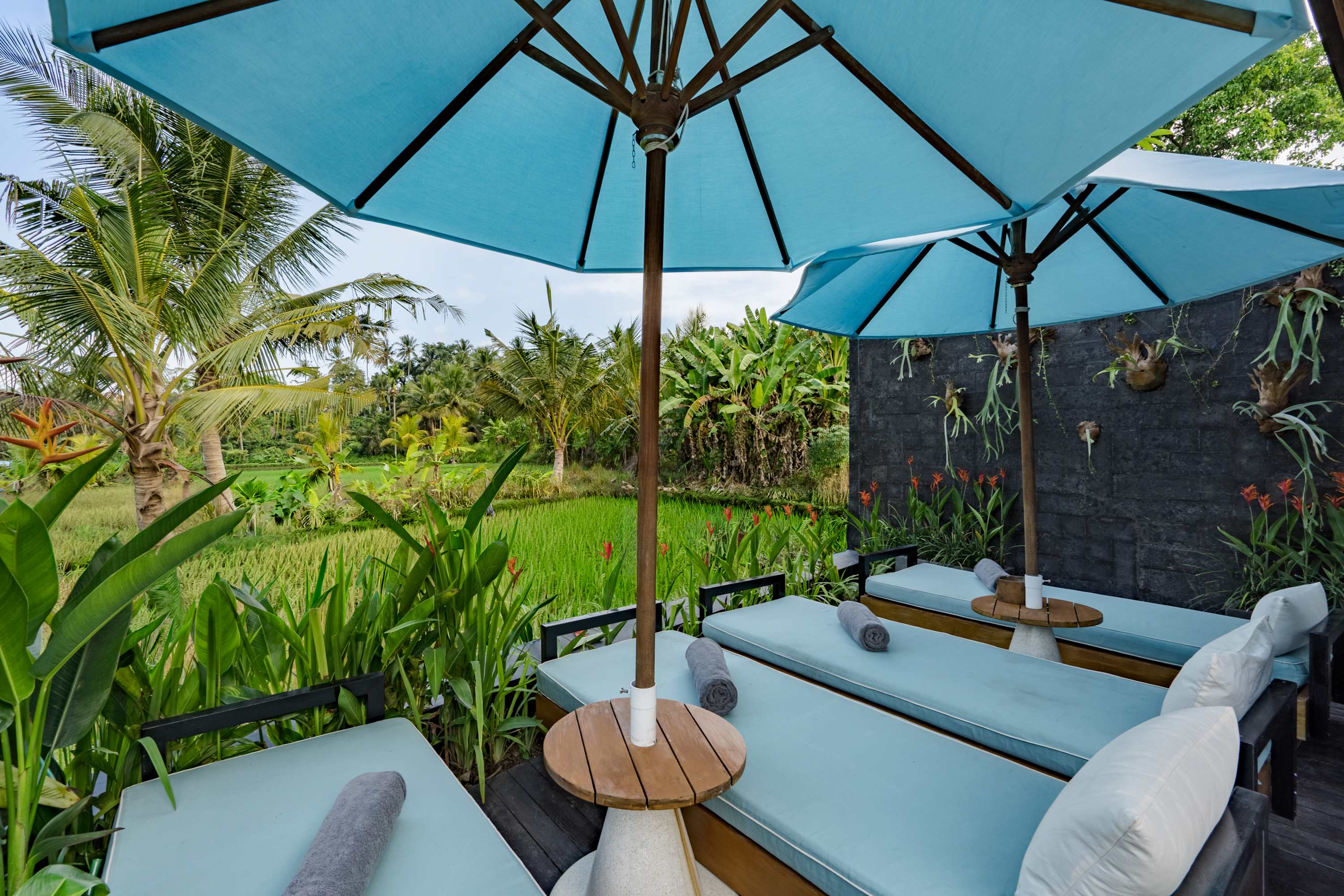 Villa Coconut Monkey in Ubud — image 3