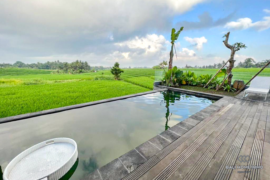 Ricefield View 3 Bedroom Villa for Yearly Rental in Bali Tanah Lot — image 1