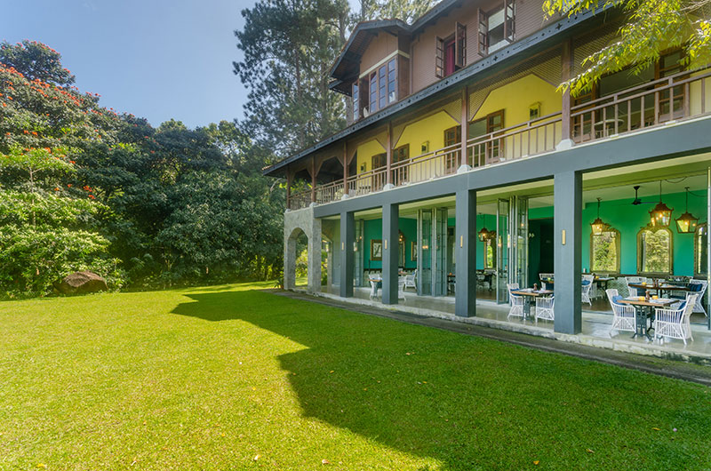 DENDROBIUM HOUSE in amed in Other Location — image 3