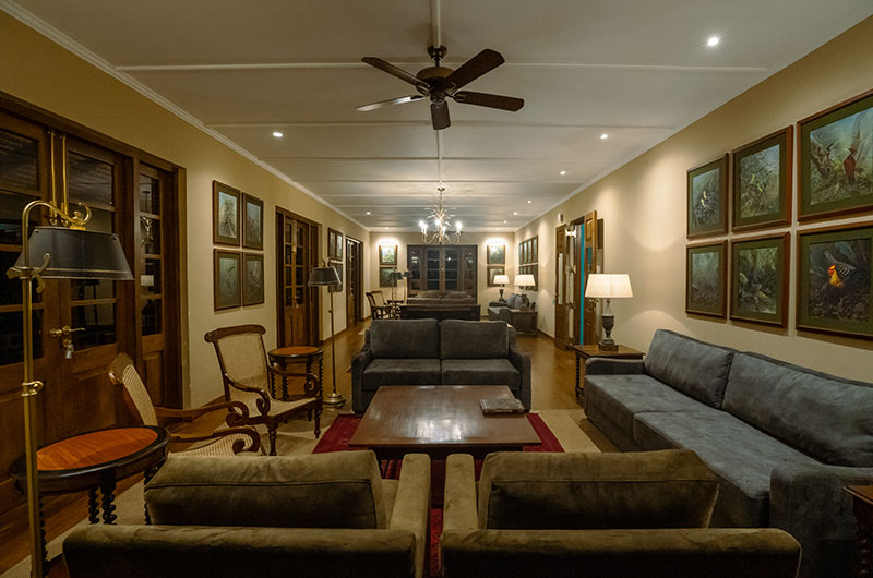 DENDROBIUM HOUSE in amed in Other Location — image 9