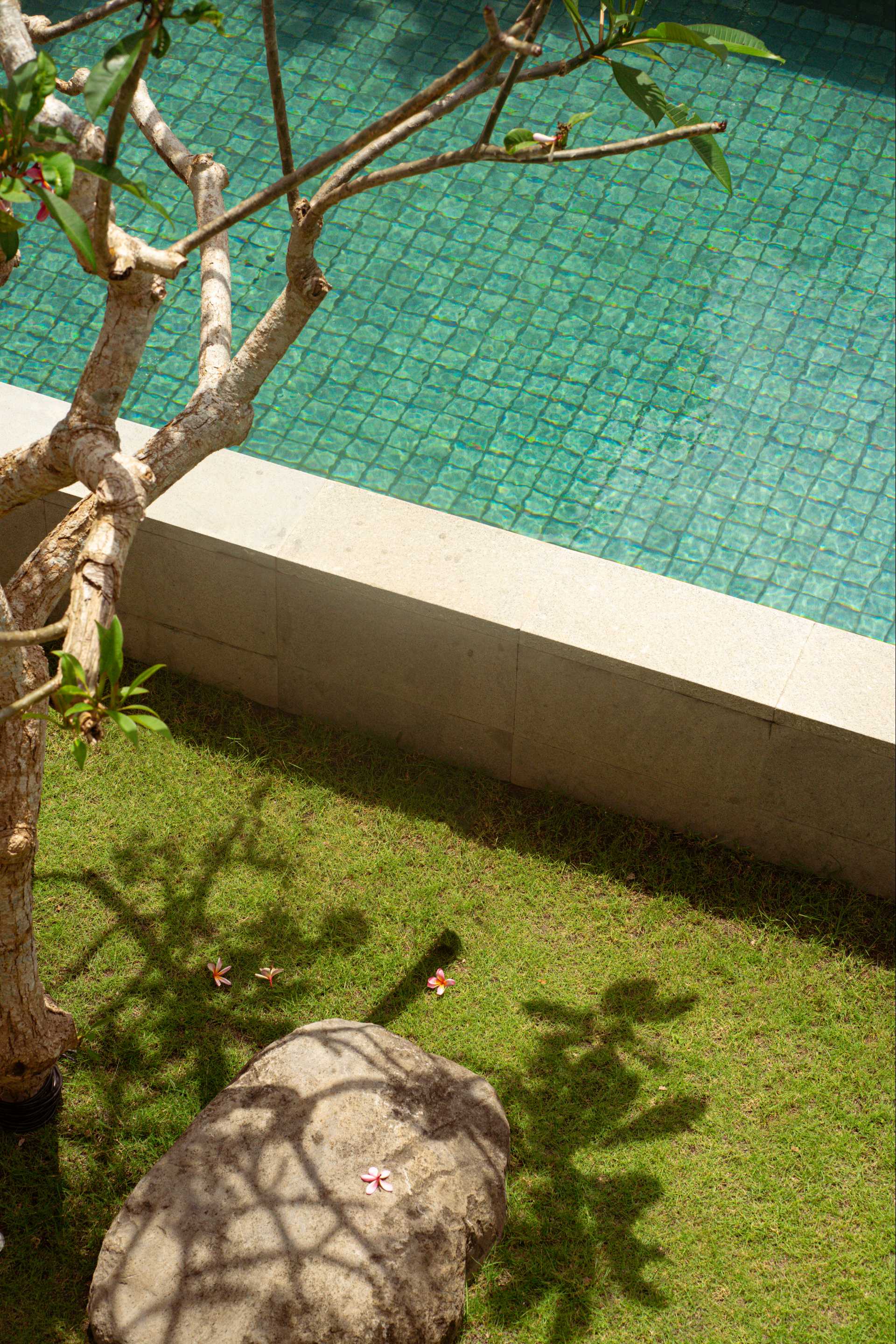Villa Uma Santai Canggu — image 7